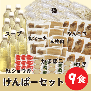 けんぱー9食セット